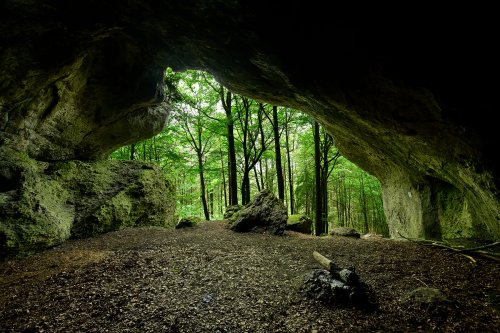 Sonnenuhr (Franconie, Allemagne) - Grand porche  au milieu des bois vu de l'intérieur(SX-24-0032)
